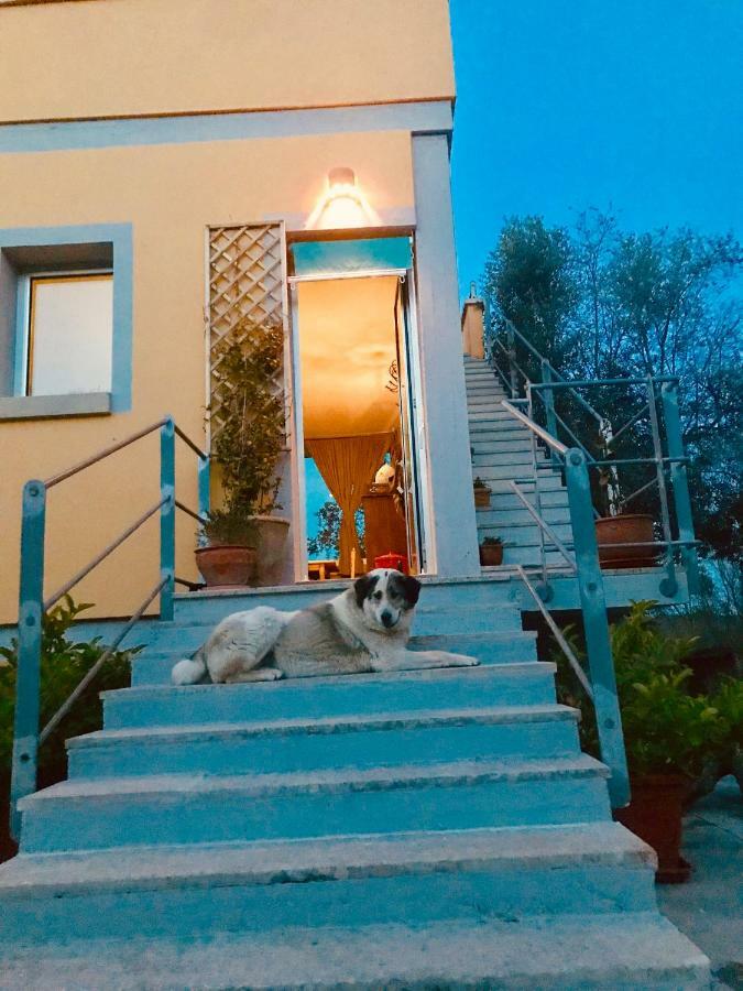 Le Palombelle Casa Vacanze Otranto Eksteriør bilde