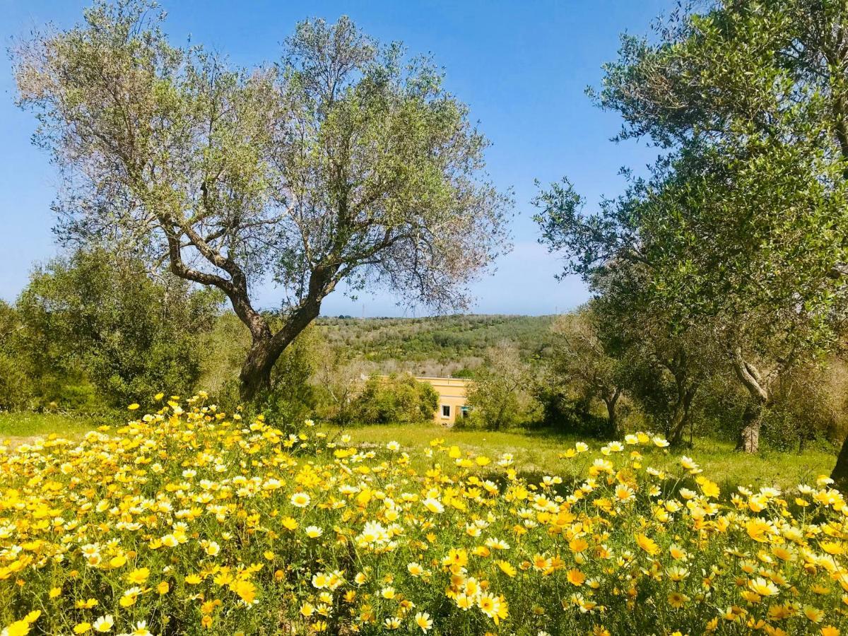 Le Palombelle Casa Vacanze Otranto Eksteriør bilde